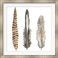 Framed Watercolor Plumes I