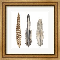 Framed Watercolor Plumes I