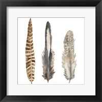 Watercolor Plumes I Framed Print