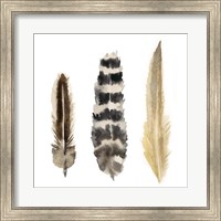 Framed Watercolor Plumes II