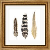 Framed Watercolor Plumes II