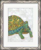 Framed Turtle Friends I