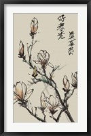 Mandarin Magnolia I Framed Print
