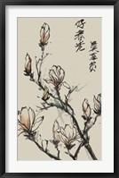 Framed Mandarin Magnolia I