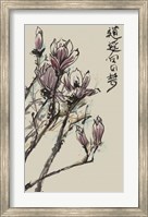 Framed Mandarin Magnolia II