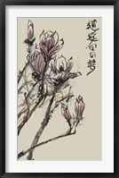 Mandarin Magnolia II Framed Print