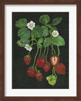 Framed Strawberry Fields II