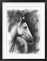 Charcoal Equestrian Portrait I Framed Print