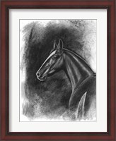 Framed Charcoal Equestrian Portrait II