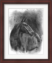 Framed Charcoal Equestrian Portrait III