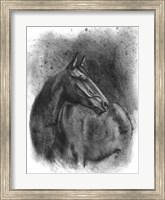 Framed Charcoal Equestrian Portrait III