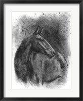 Charcoal Equestrian Portrait III Framed Print