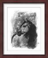 Framed Charcoal Equestrian Portrait IV