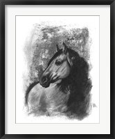 Charcoal Equestrian Portrait IV Framed Print
