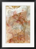 Coral Lace I Framed Print