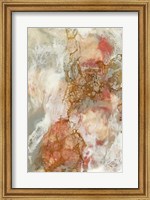 Framed Coral Lace II