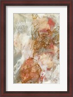 Framed Coral Lace II