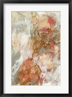Coral Lace II Framed Print