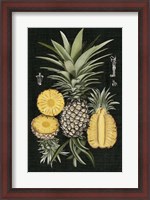 Framed Graphic Pineapple Botanical Study I