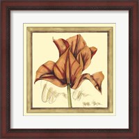 Framed Tulip Study IV