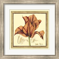 Framed Tulip Study IV