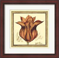 Framed Tulip Study VI