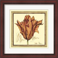 Framed Tulip Study VII