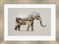 Framed African Elephant Erongo Namibia