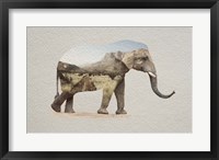 Framed African Elephant Erongo Namibia