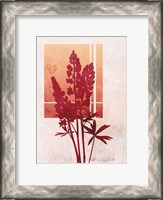 Framed Ombre Lupine Flowers