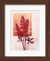 Framed Ombre Lupine Flowers
