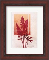 Framed Ombre Lupine Flowers