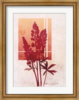 Framed Ombre Lupine Flowers