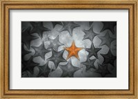 Framed Pop of Color Orange Starfish