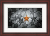 Framed Pop of Color Orange Starfish