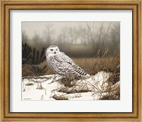 Framed Snowy Mist