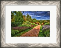 Framed Yellow Brick Road