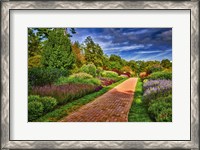 Framed Yellow Brick Road