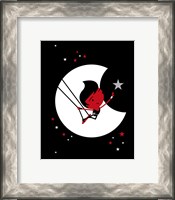 Framed Star Catcher