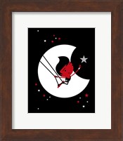 Framed Star Catcher