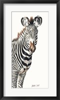 Framed Grevvy's Zebra
