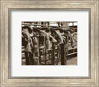 Framed Bareback Saddles