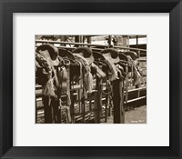 Framed Bareback Saddles