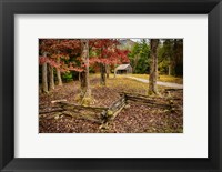 Framed Smokies Cabin