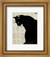 Framed Black Cat