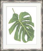 Framed Philodendron 2