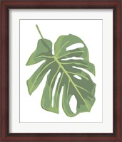 Framed Philodendron 2