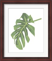 Framed Philodendron 3