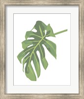 Framed Philodendron 3