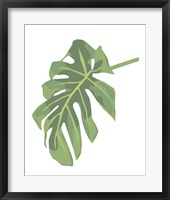 Philodendron 3 Framed Print